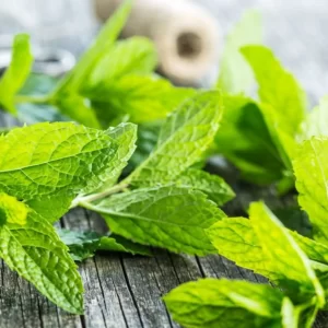 Tea Tree and Mint Foot Scrub