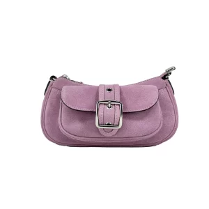 Coach Mini Ashton Suede Shoulder Bag Purse
