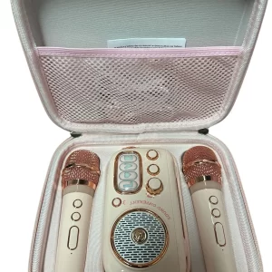 Karaoke set