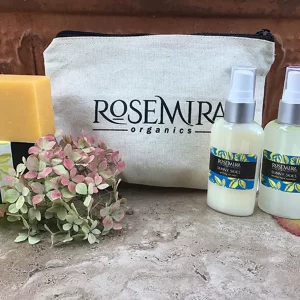 Holiday Sanitizer Kit