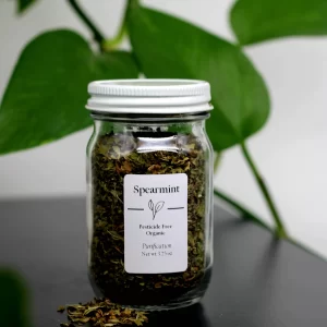 Organic Spearmint